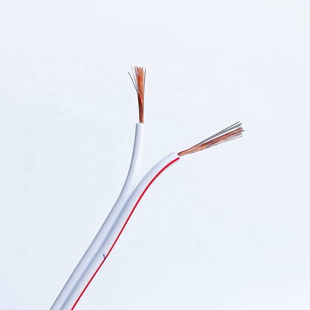 Cheapest 2 Core Soft Speaker Cable Wire Cable Audio Car 18 Ga Copper Clad Aluminum Ccal Ccam PVC Twin Cable