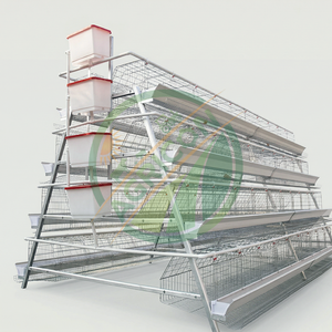 Nouvelle cage à poules pondeuses à 4 niveaux et 5 portes pour 160 oiseaux, galvanisée à chaud, avec système de collecte automatique des œufs, pour élevages avicoles - Product Image 2