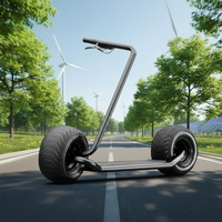 Scooter Eléctrico Plegable Inteligente con GPS Citycoco 2026, Resistente al Agua, Dos Ruedas, 2000W/3000W, Capacidad de Carga de 330 kg, Batería de Litio de 20 Ah, Estilo Chopper