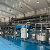 Vruchtensapverwerkingsmachine Vruchtensap Productielijn Prijs Sinaasappelsap Productielijn