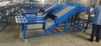 Grote Capaciteit Automatische Tomaat Grader Sizer Sortering Citrus Grootte Knoflook Teen Maat Gepelde Knoflook Ui Knoflook Knoflook Sorteermachine