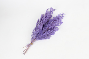 Ramo de flores de helecho <span class=keywords><strong>Ming</strong></span> preservado de alta calidad para ocasiones de decoración del hogar como Pascua Navidad Halloween Back School - Product Image 2