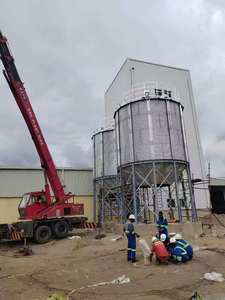 Silo de stockage de céréales galvanisé 3 tonnes 5 tonnes 10 tonnes 20 tonnes 50 tonnes 100 tonnes pour l'alimentation des volailles, du blé, du maïs - Product Image 3