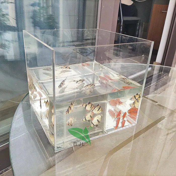 कछुए, झींगा, सुनहरी मछली के लिए घरेलू फेंग शुई आभूषण स्पष्ट पारदर्शी ऐक्रेलिक चौकोर आकार मिनी डेस्क मछलीघर मछली टैंक