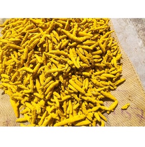 Pulido Doble de Cúrcuma Pura que Ofrece Soporte de Alta Calidad Rico en Curcumina para la Resistencia Inmunológica y el Bienestar Digestivo - Product Image 5