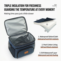 Sac isotherme multi-poches, sac à bandoulière, boîte de refroidissement, grande capacité, sac de transport pour pique-nique en plein air