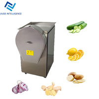 Commerciële Kokosvlees Snijmachine Industriële Radijs Gembersnijmachine Handige Fruit En Groente Snijmachine