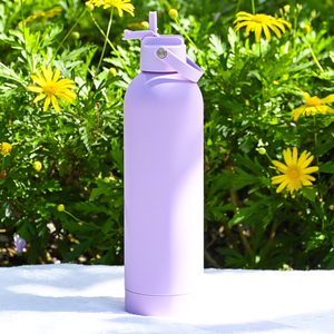 750ml Vacuum Insulated Stainless Steel Water <b>Bottle</b> with Dustproof Straw Lid 25 oz Rubber Painting Anti-slip Sports <b>Bottle</b> - Product Image 1