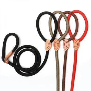 Laisse en corde pour chat et chien, laisse en nylon réglable et durable, ceinture légère pour animaux de compagnie, accessoires pour la promenade et l'entraînement des chiens - Product Image 2