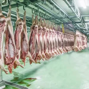 Pig Slaughterhouse 50 Sow Per Hour Slaughter Line With Hog Slaughtering Abattoir Machinery