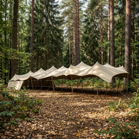 Carpa Elástica Impermeable en Oferta, Toldo Elástico Ignífugo, Carpa para Fiestas de Tela Spandex para Exteriores
