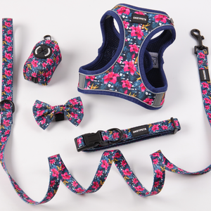 Grosir kustom mudah cocok anjing <span class=keywords><strong>Harness</strong></span> portabel lembut tidak ada tarik Step-in anjing kecil <span class=keywords><strong>Harness</strong></span> dengan gesper rilis cepat - Product Image 5