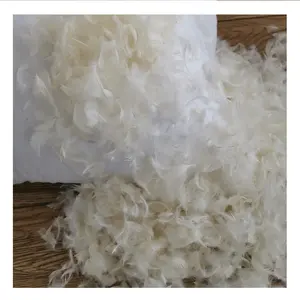 Bán Toàn Bộ 100% Lông Vịt Xuống Đệm Cơ Thể Gối 55X55Cm Vải Cotton Nguyên Chất