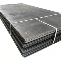 Tôle d'acier laminée à chaud, fer noir HR S235 S355 SS400 A36 A283 Q235 Q345 NM450 NM500, tôle d'acier doux résistante à l'abrasion