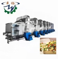 Zhuoyu Hoge Kwaliteit 304 RVS CE-gecertificeerde Grote Capaciteit Continue Mesh Belt Elektrische/Gas Aangedreven Groente- en Fruitdroger