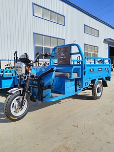 Tricycle de haute qualité pour adultes, carrosserie ouverte, nouvelle moto exceptionnelle - Product Image 2