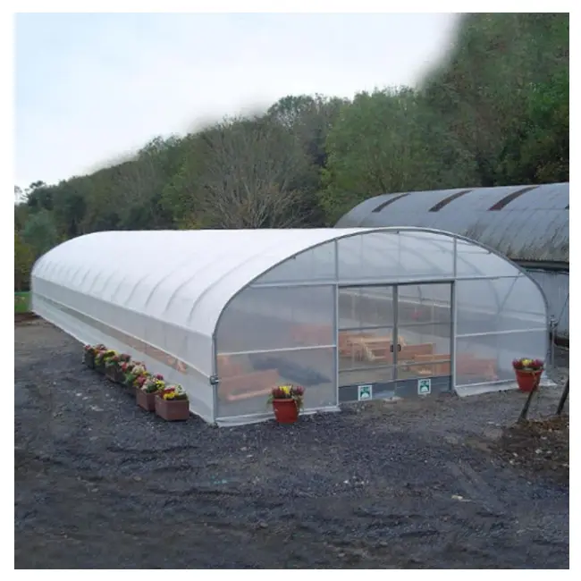 China Factory Outlet Single-span Greenhouses Customized One-Stop Polytunnel Farming High Tunnel Agriculture Greenhouse