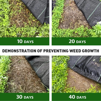 Toile de paillage verte en PP/PE traitée anti-UV, perméable à l'eau, agrotextile pour la décoration paysagère, durée de vie de 2 à 10 ans