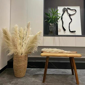 Wholesale Boho Wedding Decor Large Plume Dry Pampas Natural Real Preserved Feather <strong>Dried</strong> Pampas Artificial <strong>Plants</strong> - Product Image 4