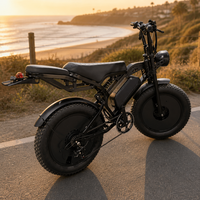 Vélo électrique tout-terrain robuste pour adultes avec pneus larges et batterie amovible, idéal pour la conduite hors route, OEM ODM disponible