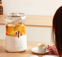 Chauffe-eau électrique 3L/5L Distributeur de boissons Matériel préservant la santé Pot santé