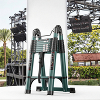 Échelle télescopique et pliante en aluminium au design moderne pour les sites sportifs, capacité de charge de 150 kg, échelle industrielle multifonctionnelle