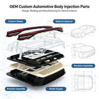 Pièces automobiles OEM : Cache de feux arrière personnalisé, moulé par injection multi-matériaux de haute précision pour l'extérieur des véhicules