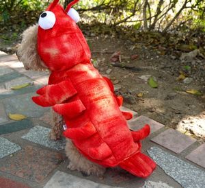 Sombreros para mascotas personalizados Disfraces de transformación de langosta de Halloween Teddy Corgi Otoño e Invierno Nuevos disfraces para perros al por mayor - Product Image 6