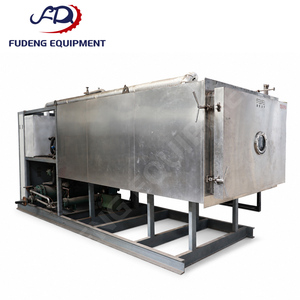 Liofilizador Usado, Máquina de Secado por Congelación al Vacío con Capacidad de Carga de 250 kg por Lote, Condensador de 300 L para Fábrica de Alimentos - Product Image 1