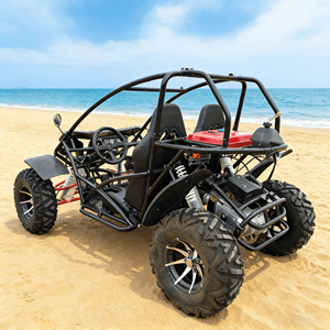 Buggy LNA <span class=keywords><strong>de</strong></span> Colores Personalizados, 200cc, 2 Plazas, Buggy Interior para Conducir en la <span class=keywords><strong>Playa</strong></span> - Product Image 3