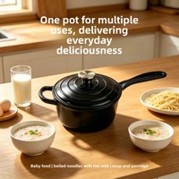 Casserole en fonte émaillée, LFGB FDA, 19 cm, avec couvercle, mini-casserole, pot à lait, compatible four et induction, logo personnalisé OEM