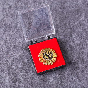 Placa de Identificación Metálica Personalizada con Forma de Escudo, Aleación de Zinc con Incrustaciones de Resina, Broche, Regalo, Accesorio de Moda Unisex - Product Image 2