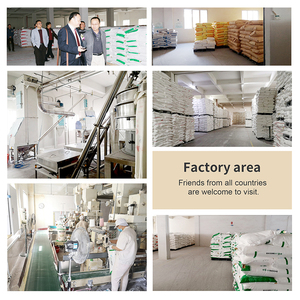 Farine de <span class=keywords><strong>blé</strong></span> à haute teneur en <span class=keywords><strong>gluten</strong></span> Halal pour les raviolis chinois malaisiens, fourniture en vrac pour les magasins de nouilles, 1 kg * 10 cartons - Product Image 4