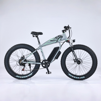 Vélo de montagne électrique tout-terrain à pneus larges de 26 pouces, moteur central, frein à disque 48V, batterie au lithium
