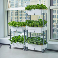 Chariot de plantation multi-niveaux en plastique PP écologique et durable, auto-arrosant, gain de place, pour jardin vertical intérieur/extérieur, petit format
