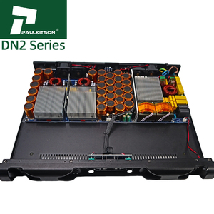 Amplificatore Paulkitson DN2 Classe <span class=keywords><strong>D</strong></span>, Attrezzatura Audio, Sistema Musicale, Amplificatore Subwoofer Audio 2400W, Sistema Audio Professionale - Product Image 2
