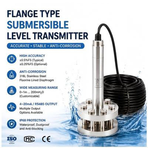 Capteur de niveau d'eau submersible pour environnements difficiles, anti-corrosion, anti-blocage, 4-20mA RS485 - Product Image 5