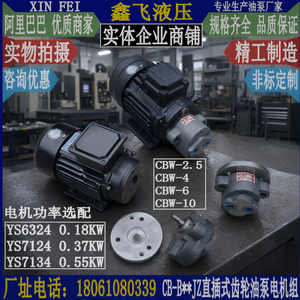 CBW Direktanschluss-Hydraulikzahnradpumpen-Motoreinheit aus Gusseisen für Werkzeugmaschinen-Schmierung - Product Image 2
