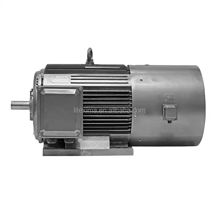 high torque 3 phase induction motors