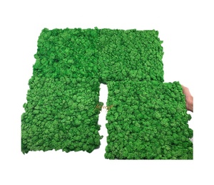 Panneaux de mousse verte naturelle carrée en gros, décoration de bureau, lichen stabilisé préservé, décoration murale de Noël, lichen préservé - Product Image 4