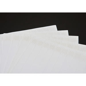 Feuilles Tyvek imprimables au laser pour données variables [AnyWristband] – 25 mm (1 pouce) - Product Image 2