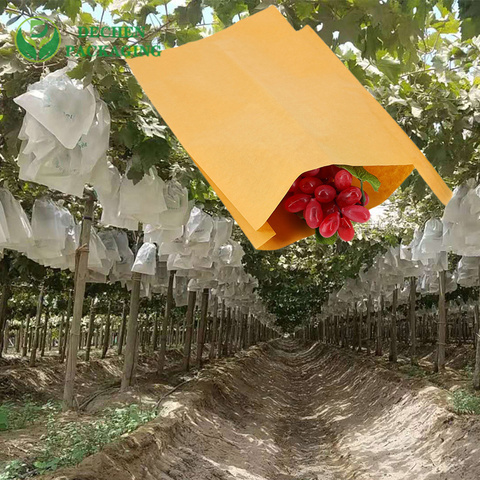 Waxed Custom Size Grape Protection Paper Pp Non-woven Fruit Cover Bag Waxed Custom Size Grape Protection Paper Pp Non-woven Fruit Cover Bag