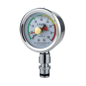 Manufacturer's explosion-proof and shock-resistant mining pressure <b>gauge</b> BZY-60A diaphragm type stainless steel mining double - Product Image 3