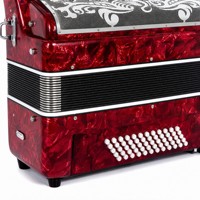 Accordéon professionnel 34 touches 60 basses, instrument de musique pour adulte, idéal pour les examens, la pratique solo et les performances