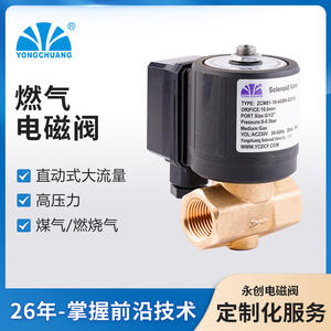 Vanne solénoïde à action directe à haut débit normalement fermée Yongchuang ZCM81 pour gaz de combustion, prise en charge OEM personnalisable - Product Image 4