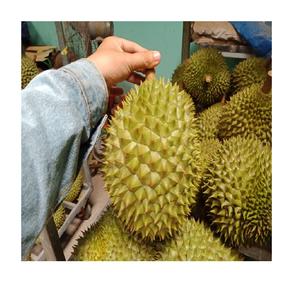 Vente en gros de durian frais congelé à prix compétitif du Vietnam - Product Image 2