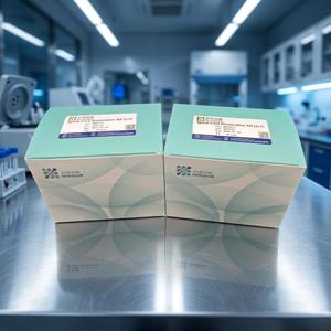 Kit de Disociación de Médula Espinal Baiaoyikang - Preparación de Células Individuales de Alta Viabilidad (10T) - Product Image 2