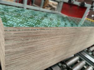 Paneles de Contrachapado de Plástico Verde PP de Grado de Construcción con <span class=keywords><strong>Revestimiento</strong></span> de Película Protectora de Plástico - Product Image 3