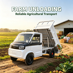 Pick-up électrique <span class=keywords><strong>2</strong></span> <span class=keywords><strong>places</strong></span>, véhicule utilitaire léger électrique, mini-camion de fret électrique, prix compétitif en Chine - Product Image 2