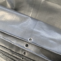 Bâche en PE pour camion agricole et extérieur, imperméable, anti-UV, coupe-vent, anti-poussière, légère, en tissu tissé, avec œillets renforcés et laminée